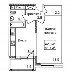 Однокомнатная квартира 42.5 м²